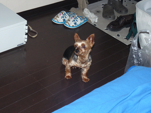 resize72321.jpg