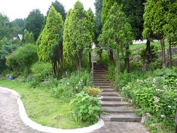 resize73069.jpg