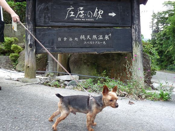 resize72340.jpg