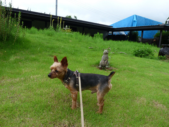 resize72381.jpg