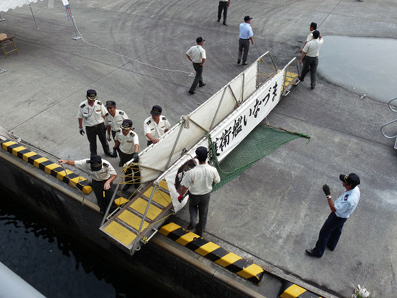 resize75436.jpg