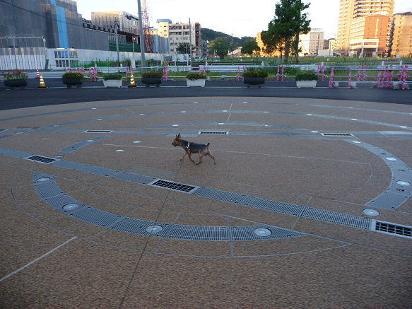 resize76735.jpg