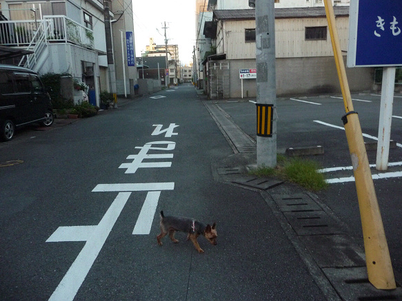 resize76700.jpg