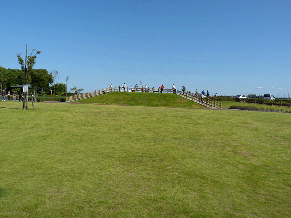 resize80373.jpg
