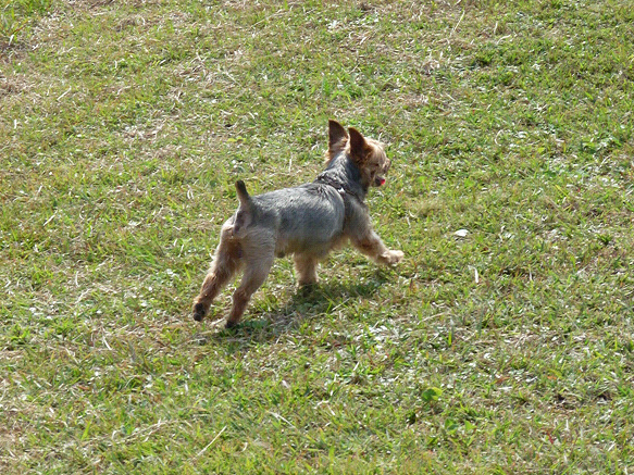 resize81105.jpg