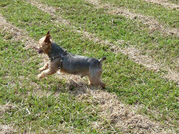 resize81128.jpg