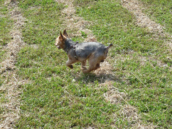resize81134.jpg