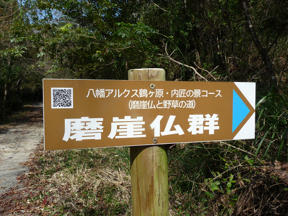 resize81263.jpg