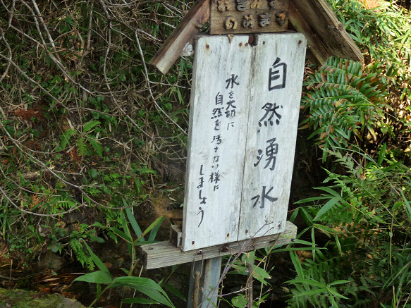 resize81266.jpg