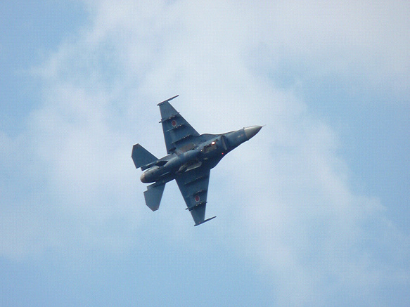 resize85184.jpg