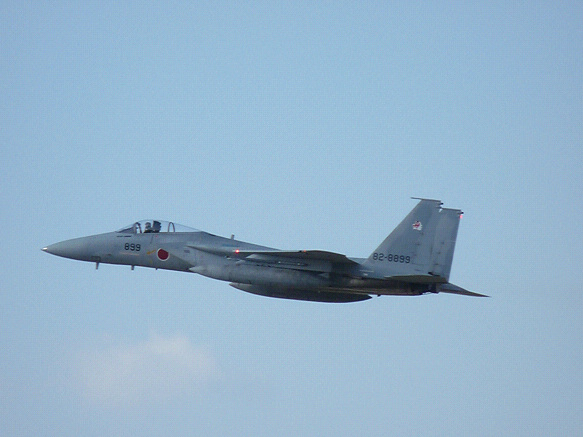 resize85619.jpg