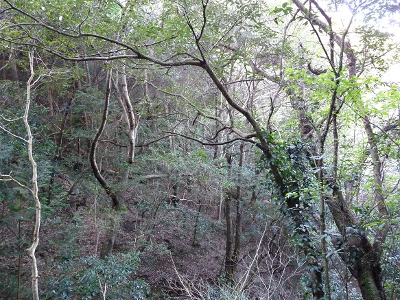 resize87854.jpg