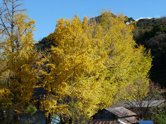 resize91608.jpg