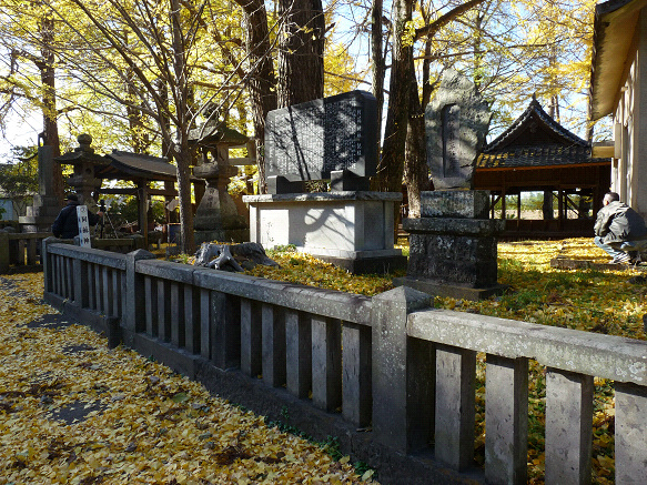 resize91667.jpg