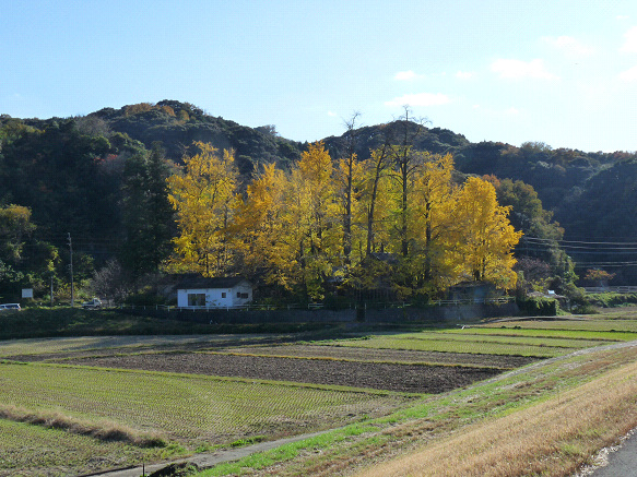 resize91543.jpg
