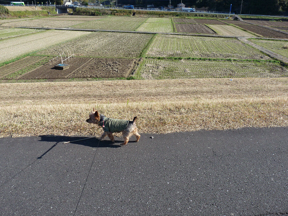 resize91550.jpg