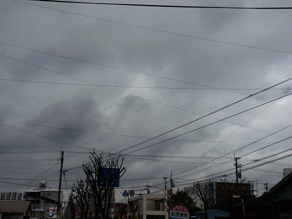resize93964.jpg