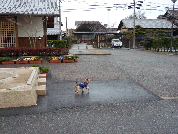 resize94072.jpg