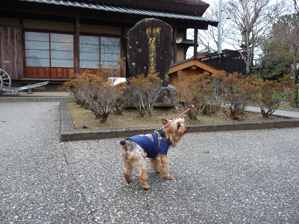 resize94081.jpg