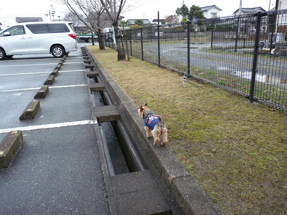 resize94105.jpg