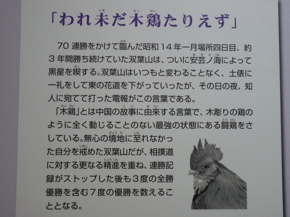 resize94045.jpg