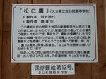 resize94528.jpg