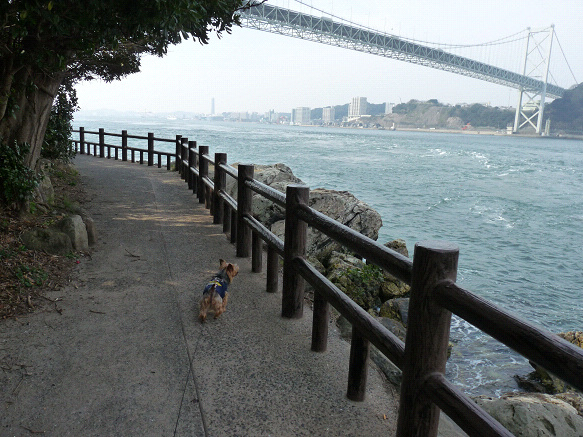 resize102578.jpg