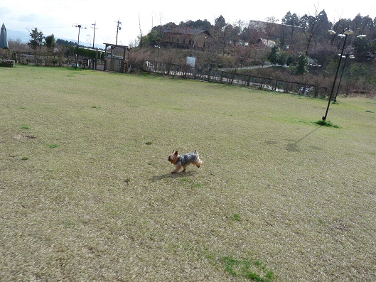 resize112975.jpg
