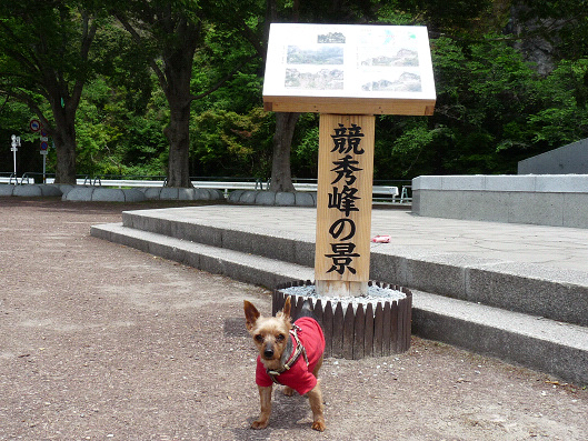 resize121728.jpg