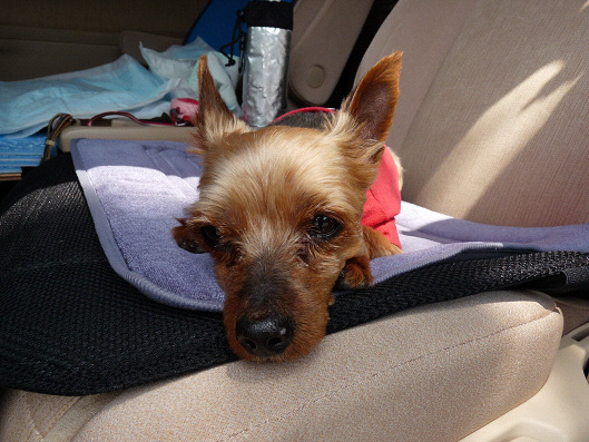 resize121790.jpg