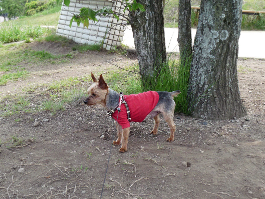 resize121795.jpg