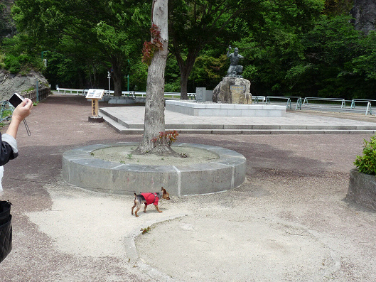 resize121714.jpg