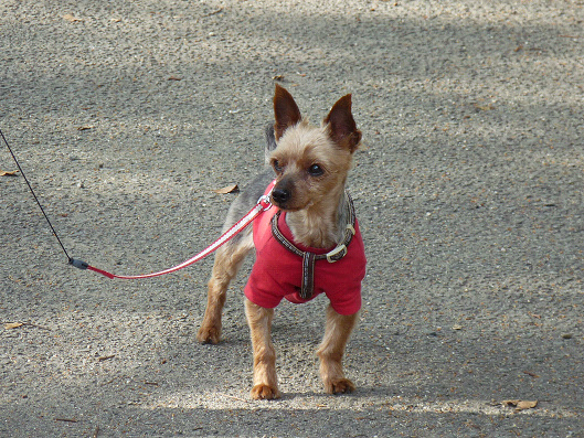 resize122101.jpg