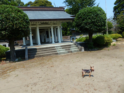 命のあしあと の舞台 宮崎県川南町 どこでも晴れたらワン歩