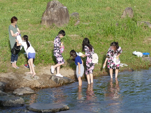 ななせの火群 ほむら まつり どこでも晴れたらワン歩