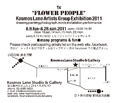 T2011DM-2.gif