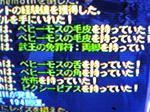 fe884e13.JPG