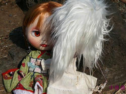8171c541.JPG
