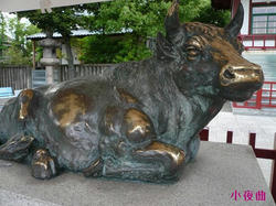 c112d6b1.JPG