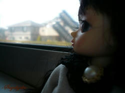 f01584c6.JPG