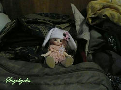 c328d0c0.JPG