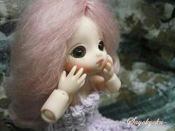 fa6922d9.JPG