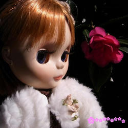 RIMG0088.JPG