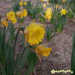 d0ab446a.JPG