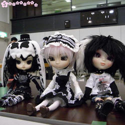 4428ff5d.JPG