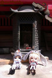 5a357d1e.JPG