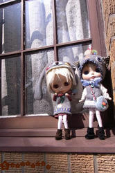 RIMG0067.JPG