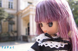 34db098e.JPG