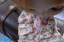 78fa5513.JPG