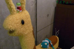 95f9a040.JPG